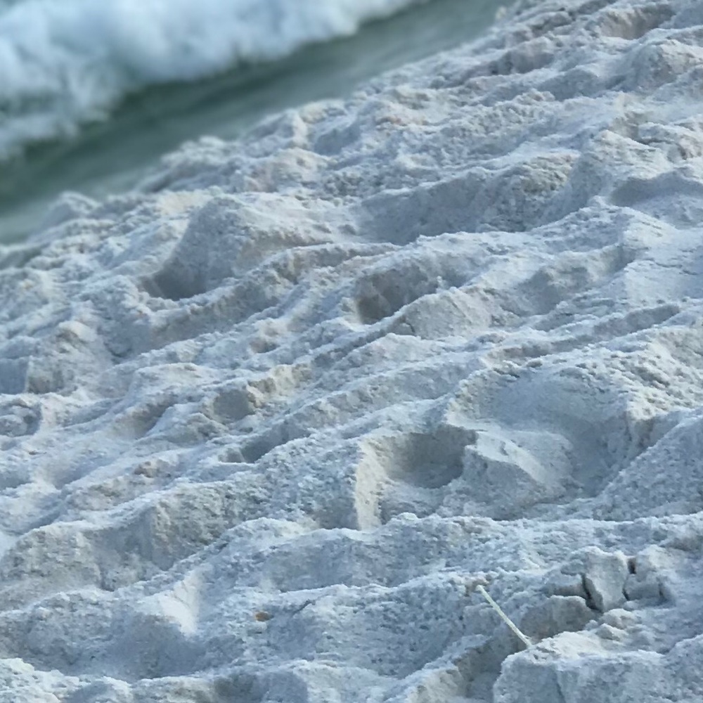 Meet your Posher, Addison